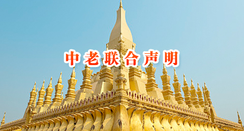 中老联合声明
