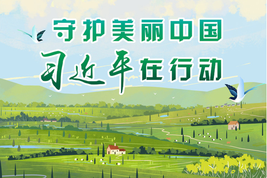 守护美丽中国，习近平在行动