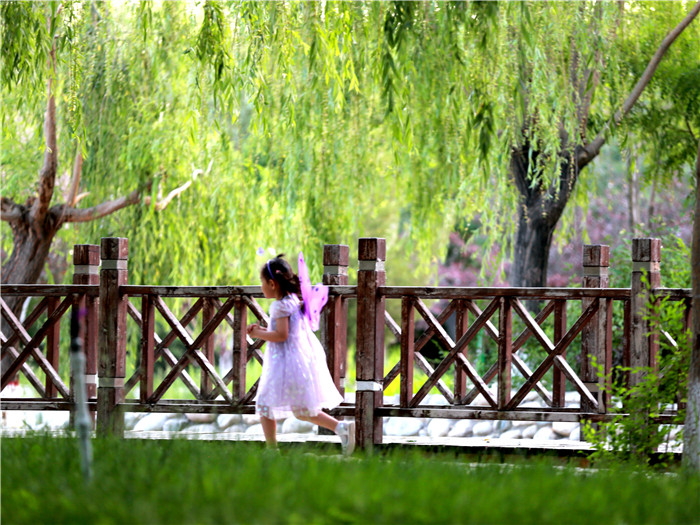 4.热情似火的夏至已到，天时渐短，光阴渐长，绿茵渐浓，气温逐渐升至最高，孩子在绿荫下嬉戏玩耍，享受大自然的快乐，炎炎夏日带来一缕令人惬意的清凉和灵动。（焉耆县纪委监委 贾凤娇）.jpg