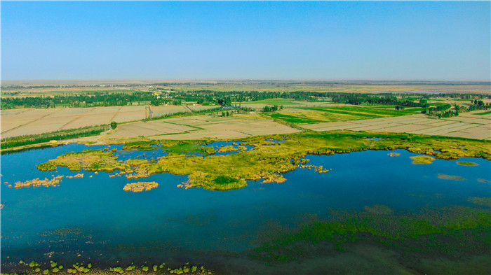9.天边小城，绿洲且末。邂逅最美夏日，大漠深处万物生长、碧波荡漾，风景美如画卷。（且末县纪委监委供  苏鑫 摄）.jpg
